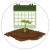 Judasboom planten | Gardline